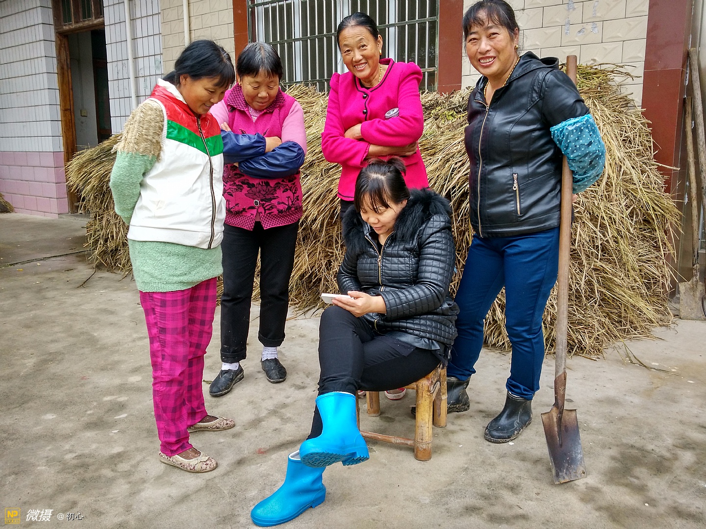 图片故事| 刘平芝：一个农村女人的脱贫梦